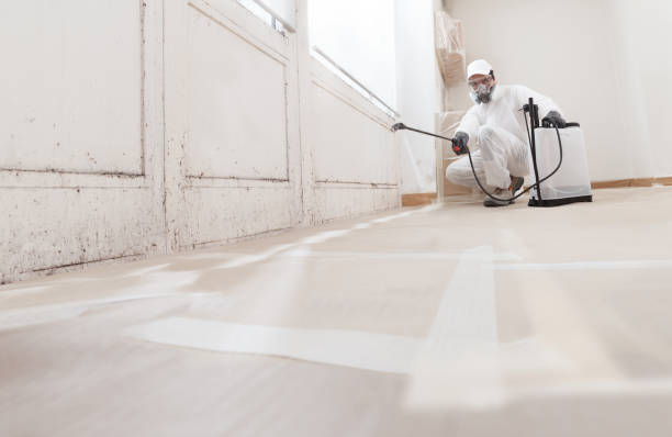 24/7 Emergency Mold Remediation experts in Florence, TX