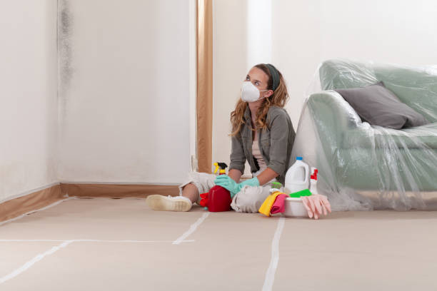 Reliable Mold Remediation contractor in Florence, TX by Mold Remediation HQ